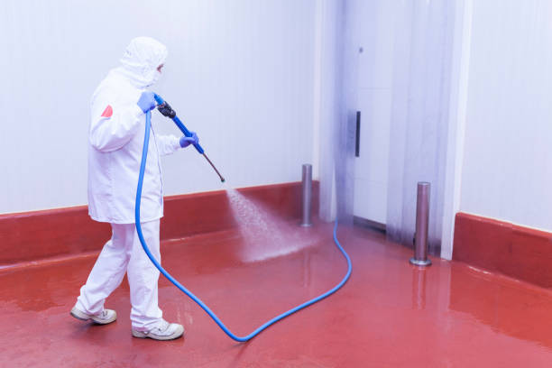 Trusted La Grange, IL Pressure Washing Services Experts